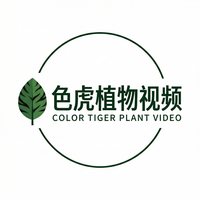 色虎植物视频社区